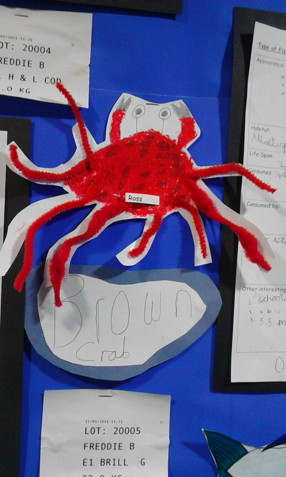 St_Cleer_display_crab.jpg